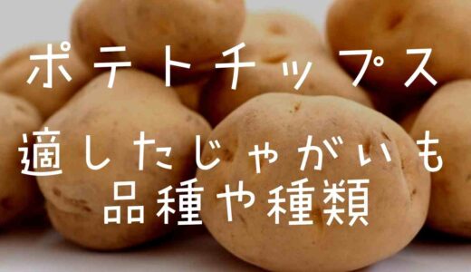 ポテトチップスに適したじゃがいもの品種や種類